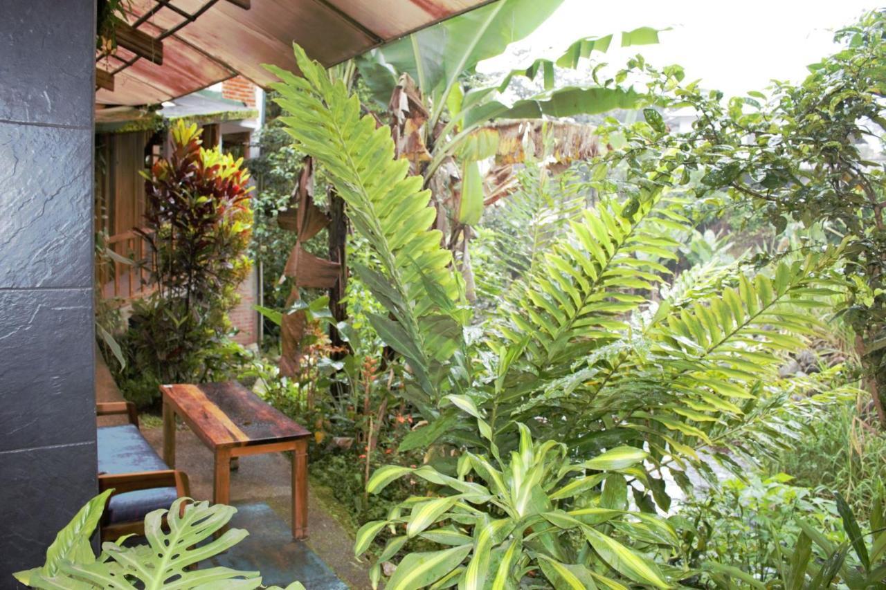 Hostal Zafiro 민도 외부 사진